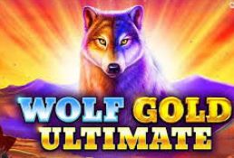 Wolf Gold
